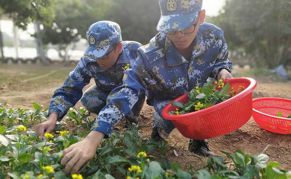 教学7大特色，改变孩子一生